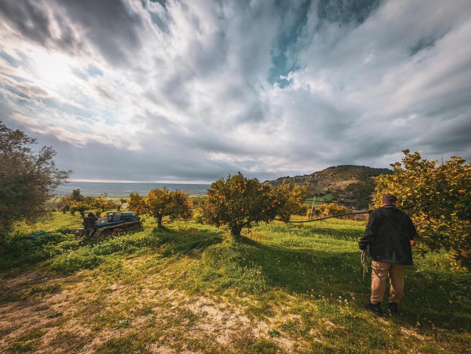 Kallikoros Country Resort & Spa Νότο Εξωτερικό φωτογραφία