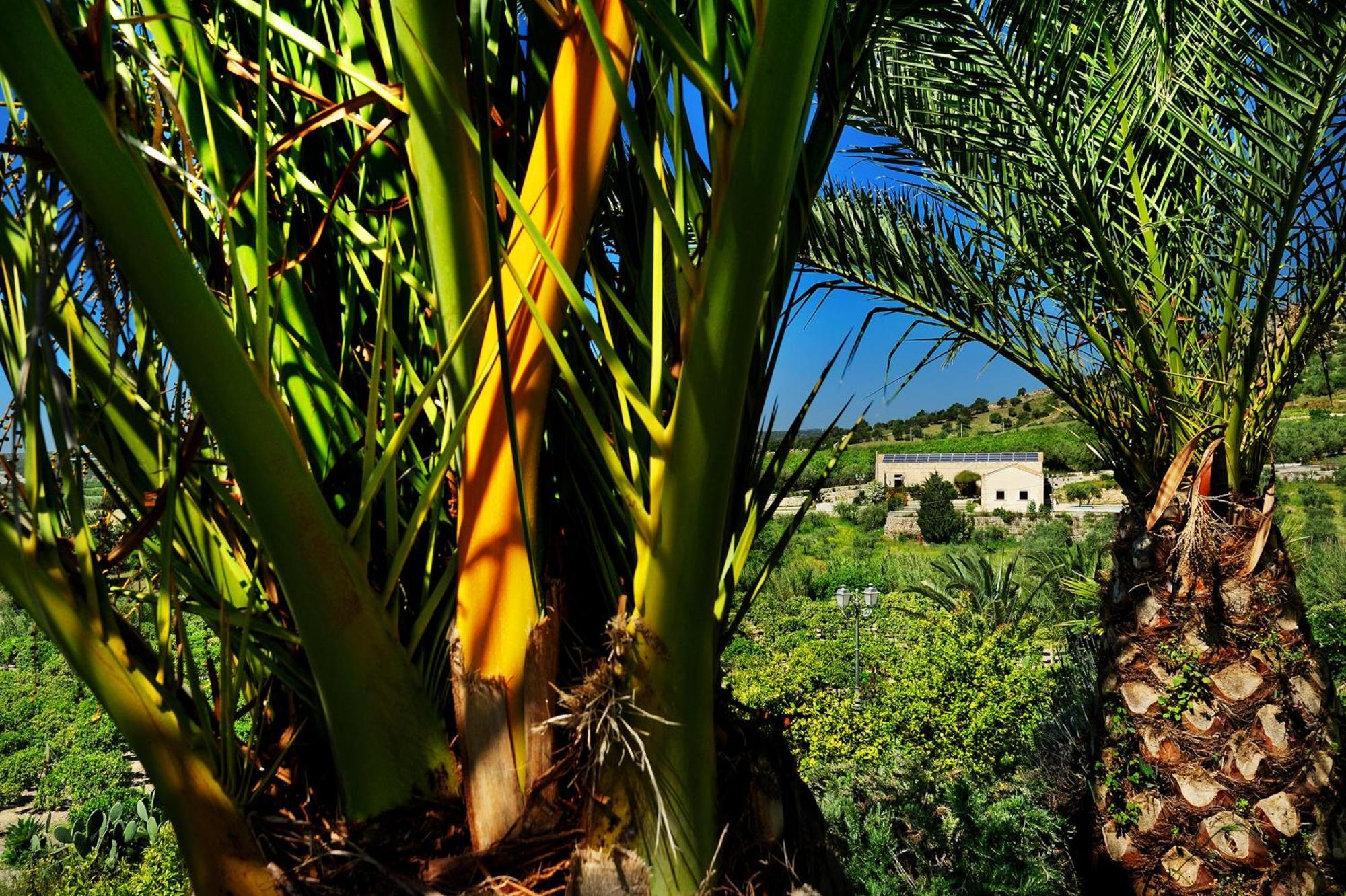 Kallikoros Country Resort & Spa Νότο Εξωτερικό φωτογραφία