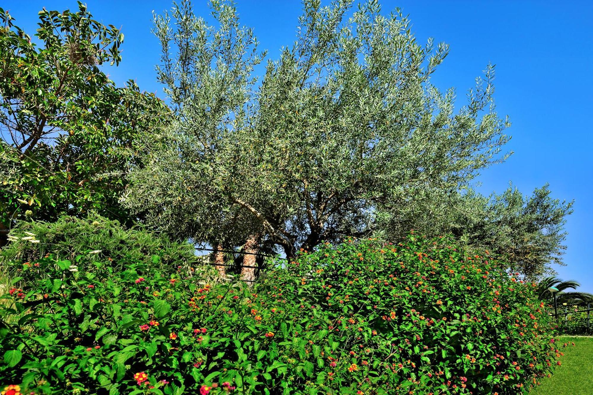 Kallikoros Country Resort & Spa Νότο Εξωτερικό φωτογραφία