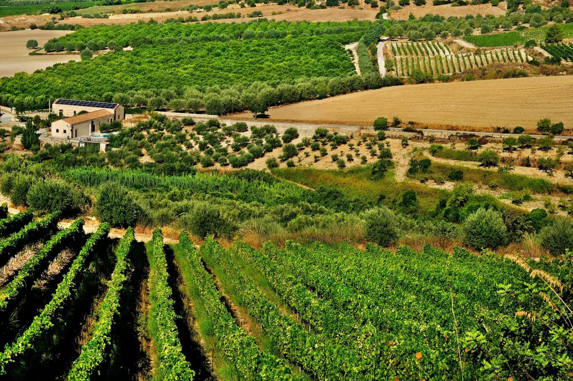 Kallikoros Country Resort & Spa Νότο Εξωτερικό φωτογραφία