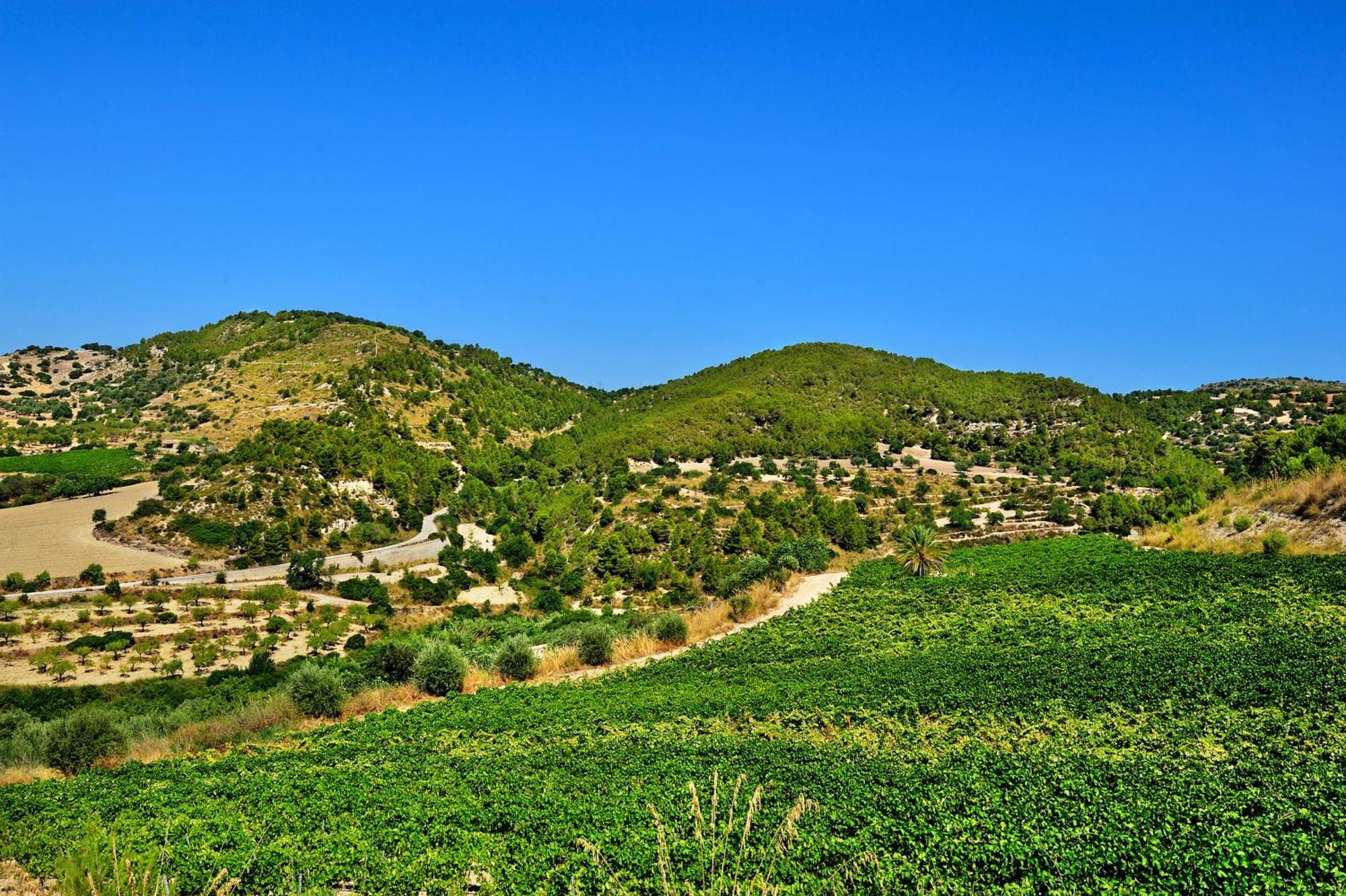 Kallikoros Country Resort & Spa Νότο Εξωτερικό φωτογραφία