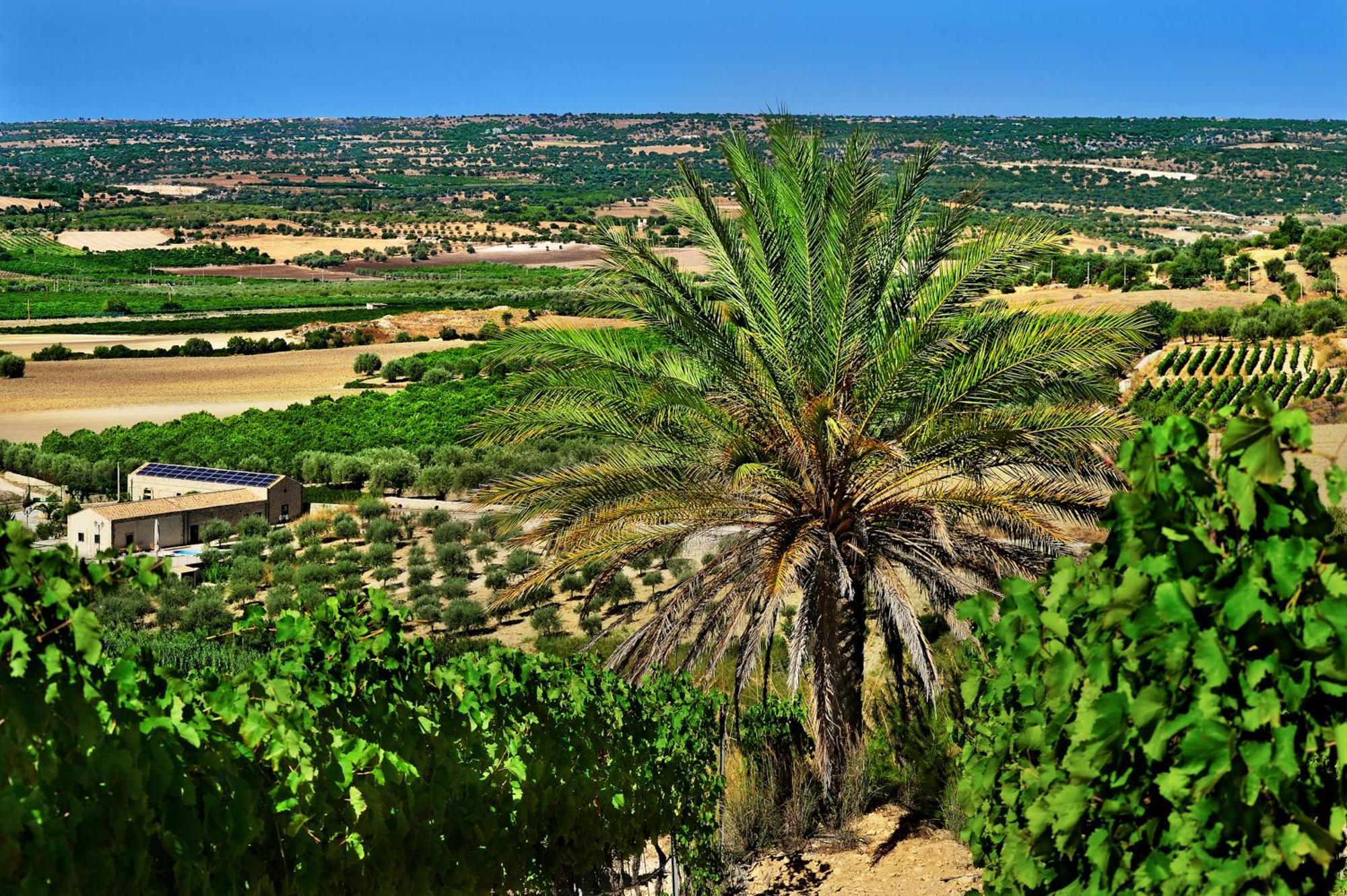 Kallikoros Country Resort & Spa Νότο Εξωτερικό φωτογραφία