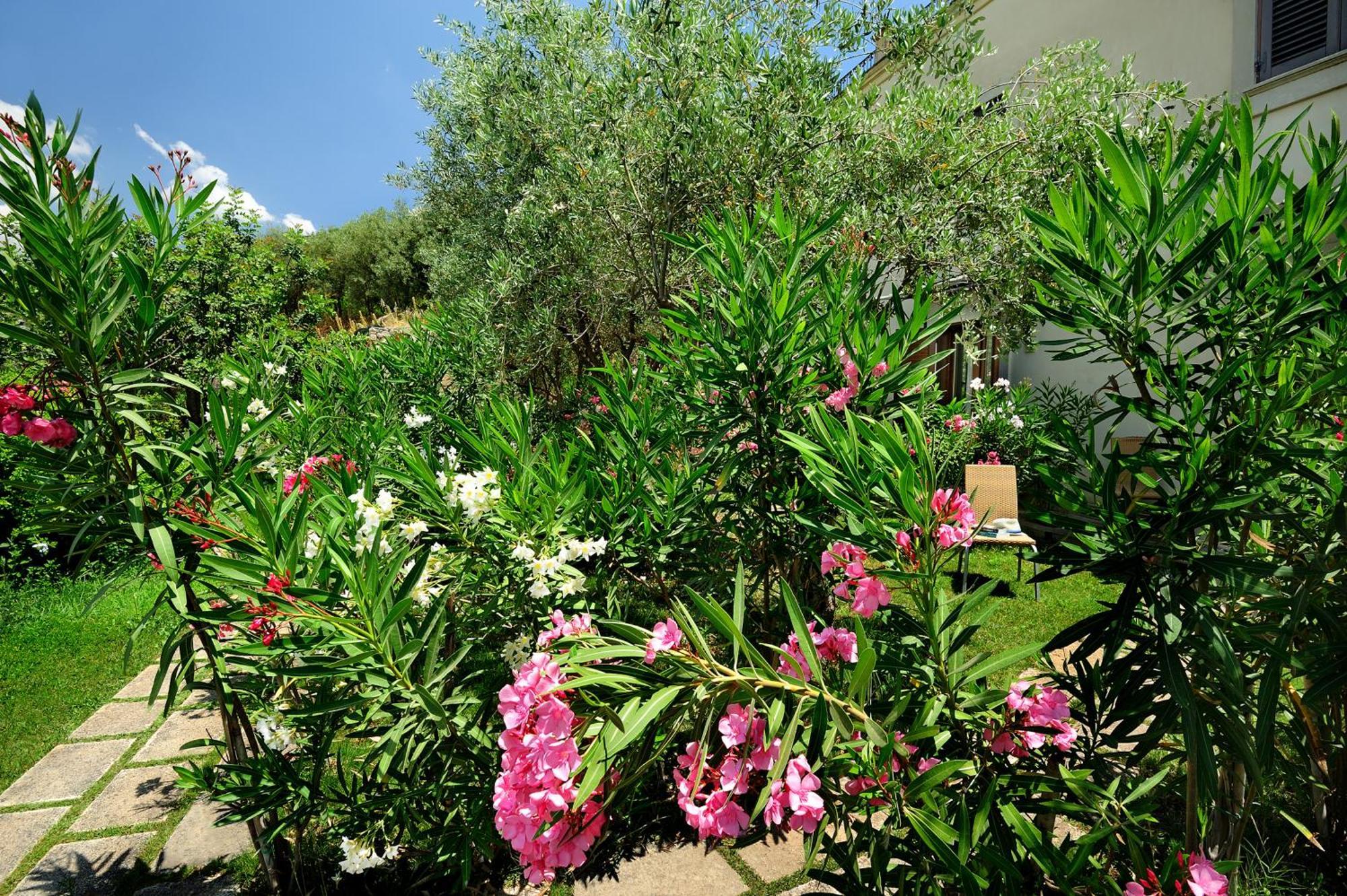 Kallikoros Country Resort & Spa Νότο Εξωτερικό φωτογραφία
