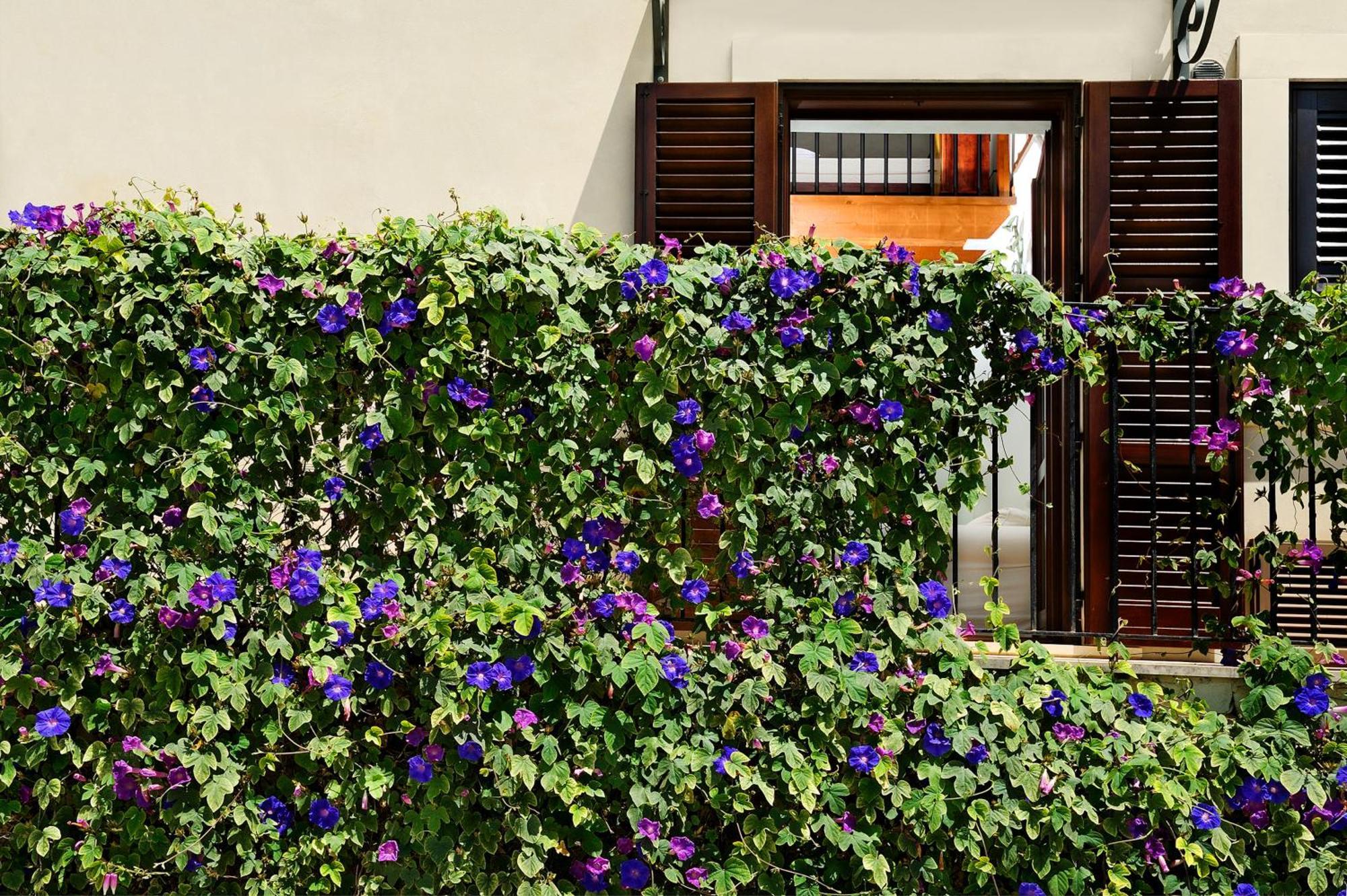 Kallikoros Country Resort & Spa Νότο Εξωτερικό φωτογραφία