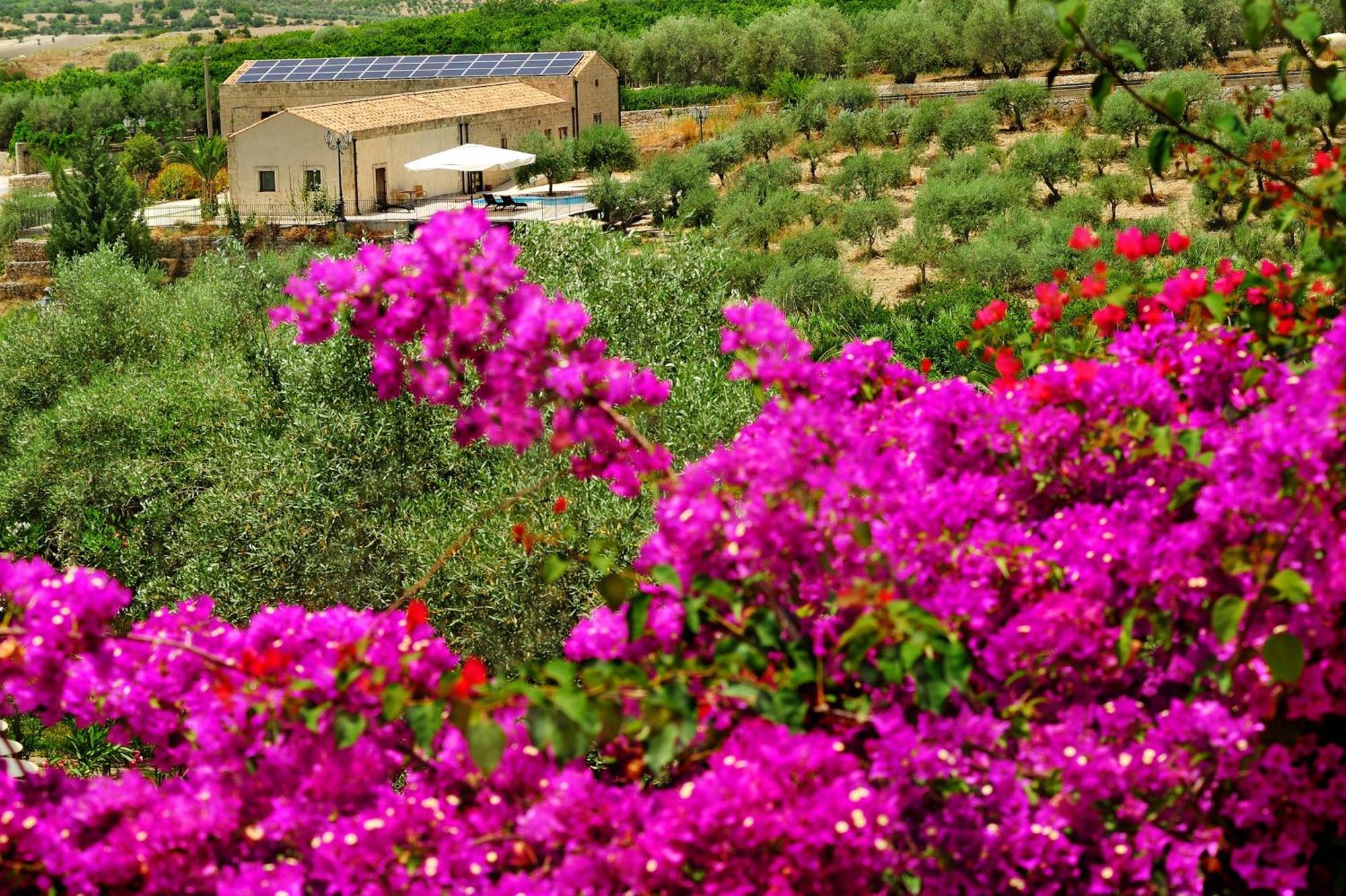 Kallikoros Country Resort & Spa Νότο Εξωτερικό φωτογραφία