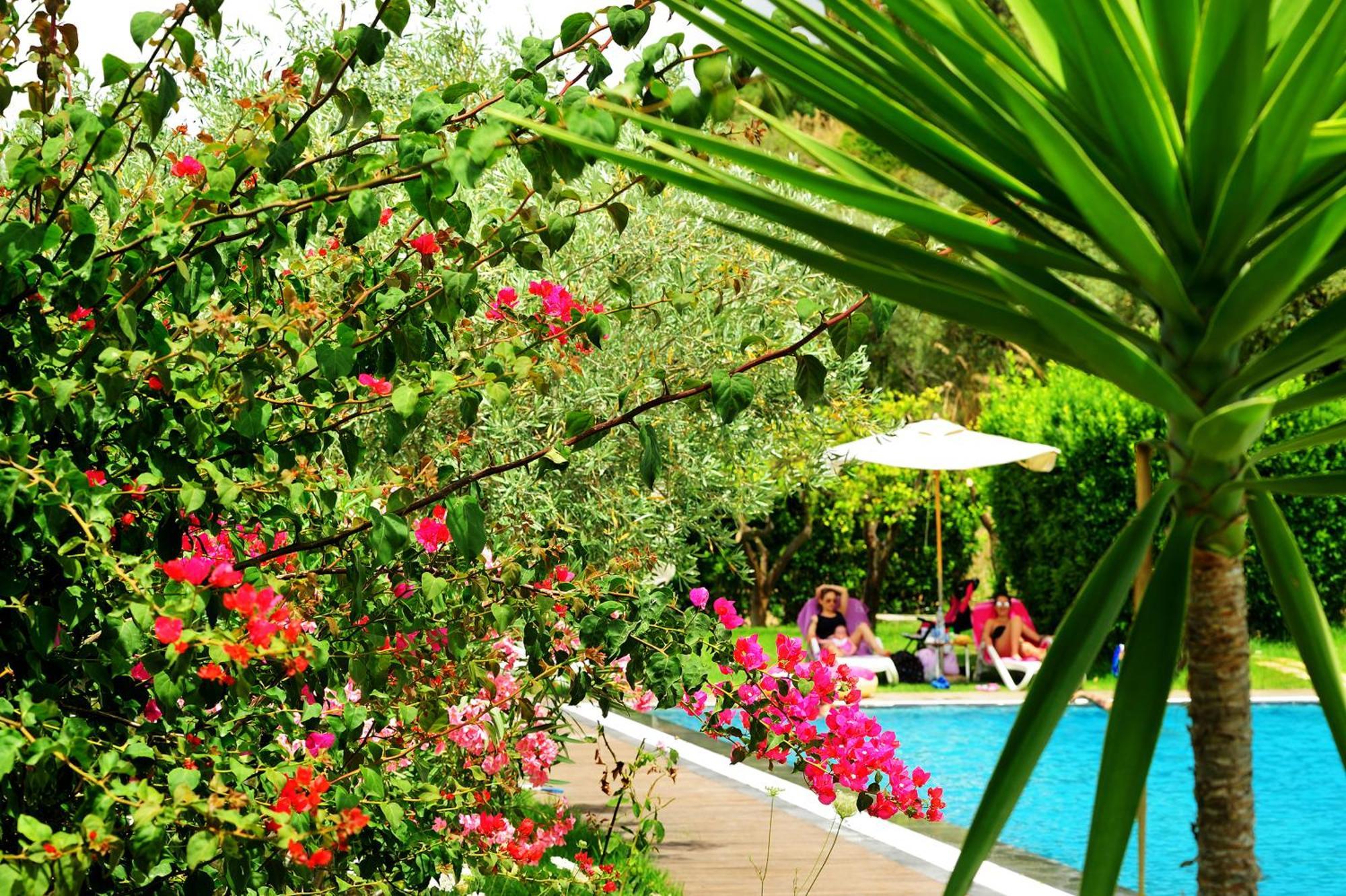 Kallikoros Country Resort & Spa Νότο Εξωτερικό φωτογραφία